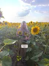 Фото 6